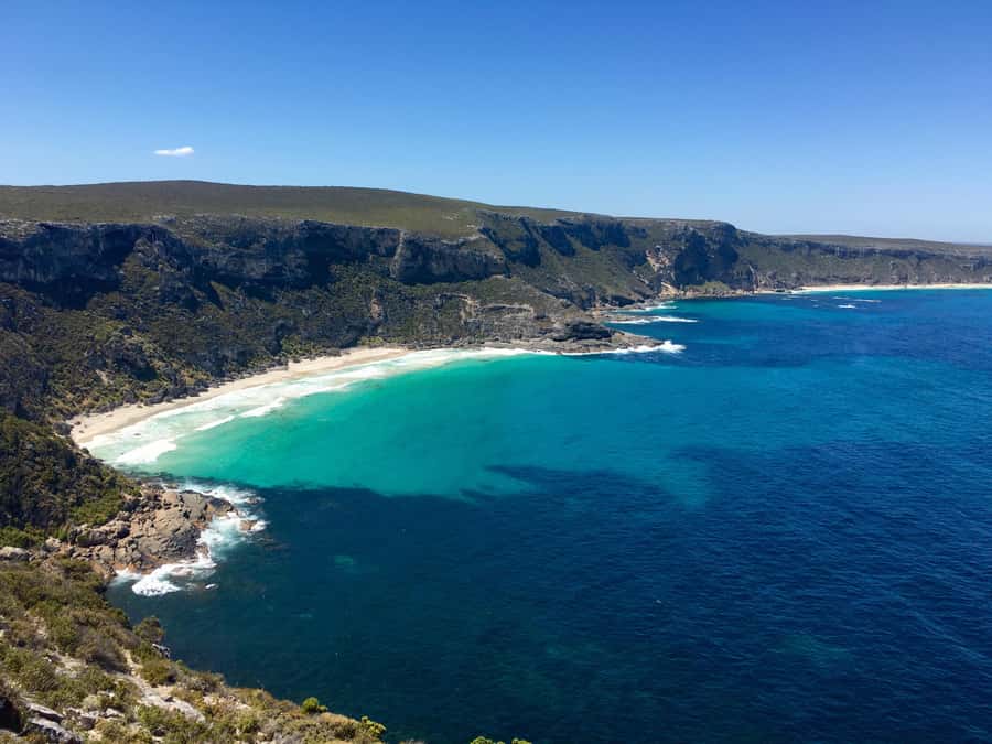 Kangaroo Island: Scenic, Nature & Wildlife Tour - Starting at Sealink and Seafront Hotel