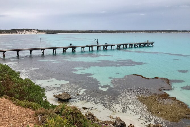 Kangaroo Island Shore Excursion Scenic Trail Tour - Cruise-port pickup and tender risk