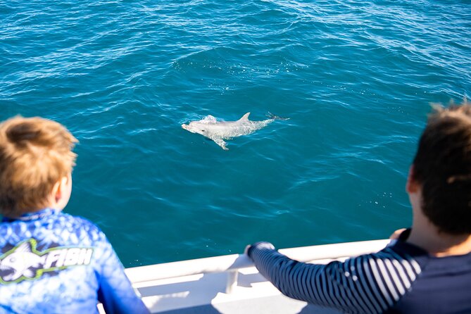Kangaroo Island - Swim with Dolphins/Seals/Coastal Snorkel - What $139.86 buys you