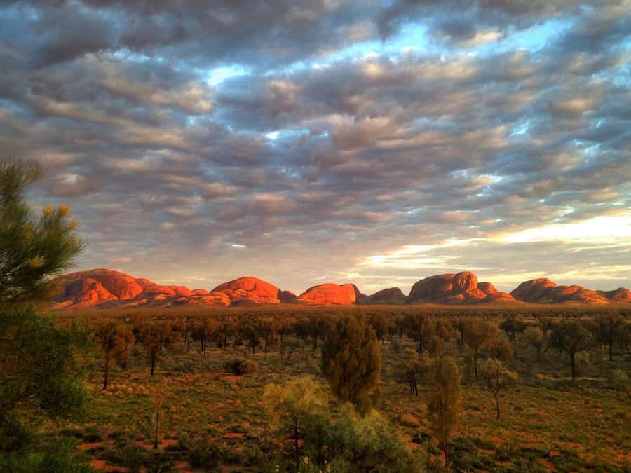 Kata Tjuta: Small Group Sunrise Tour with Picnic Breakfast - What the guides add to the morning