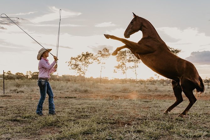 Katherine Outback Experience Show Ticket - What the Katherine Outback Experience really offers