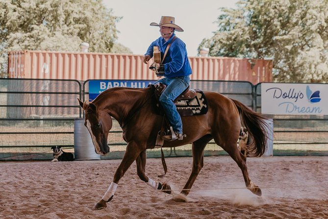 Katherine Outback Experience Show Ticket - Starting with a young horse
