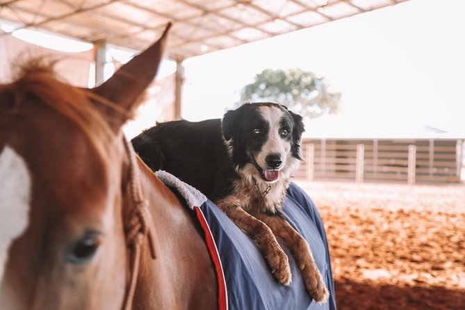 Katherine Outback Experience Show Ticket - Booking and cancellation details
