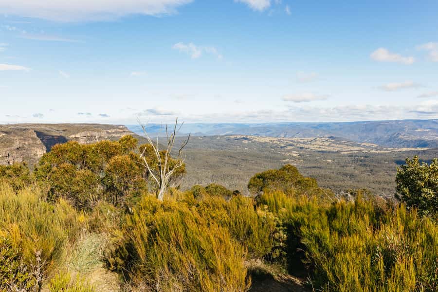 Katoomba: Lyrebird Hop-On Hop-Off and Scenic World Pass - Why the 9:15 AM bus makes such a difference
