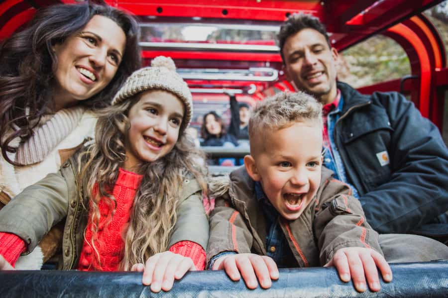 Katoomba: Scenic World 1-Day Unlimited Discovery Pass - Take the Cableway back to the clifftop