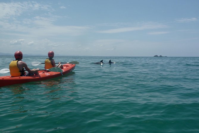 Kayaking with Dolphins in Byron Bay Guided Tour - Kayaking beside Byron Bay’s dolphins