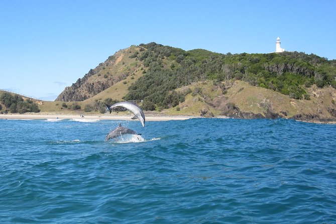 Kayaking with Dolphins in Byron Bay Guided Tour - The first paddle through Cape Byron Marine Park