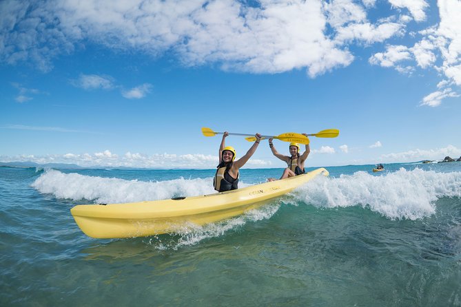 Kayaking with Dolphins in Byron Bay Guided Tour - Wildlife watching without disturbing the animals