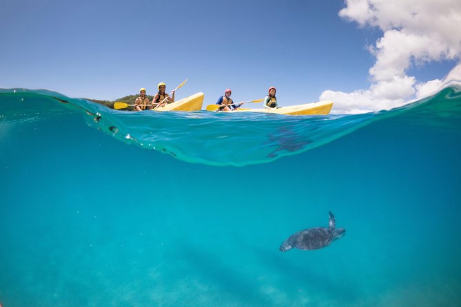 Kayaking with Dolphins in Byron Bay Guided Tour - The beach break, hot drinks, and Tim-Tams