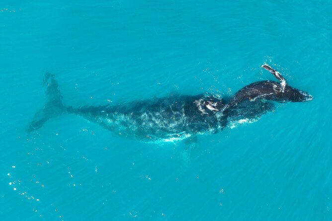 Kimberley Day Cruise Full Day Tour Departing Broome - Practical details for a smoother day