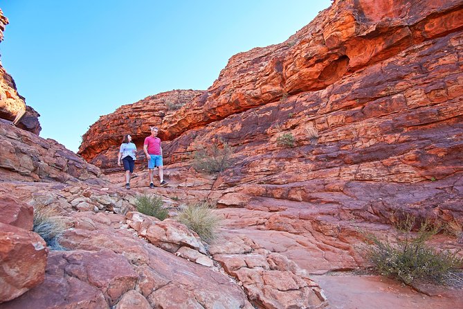 Kings Canyon Day Trip from Ayers Rock (Uluru) - Kings Creek Station: breakfast and a taste of Outback life