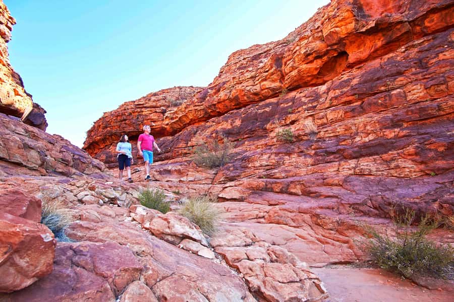 Kings Canyon: Full-Day Tour from Ayers Rock Resort - Why Kings Canyon is worth the long day