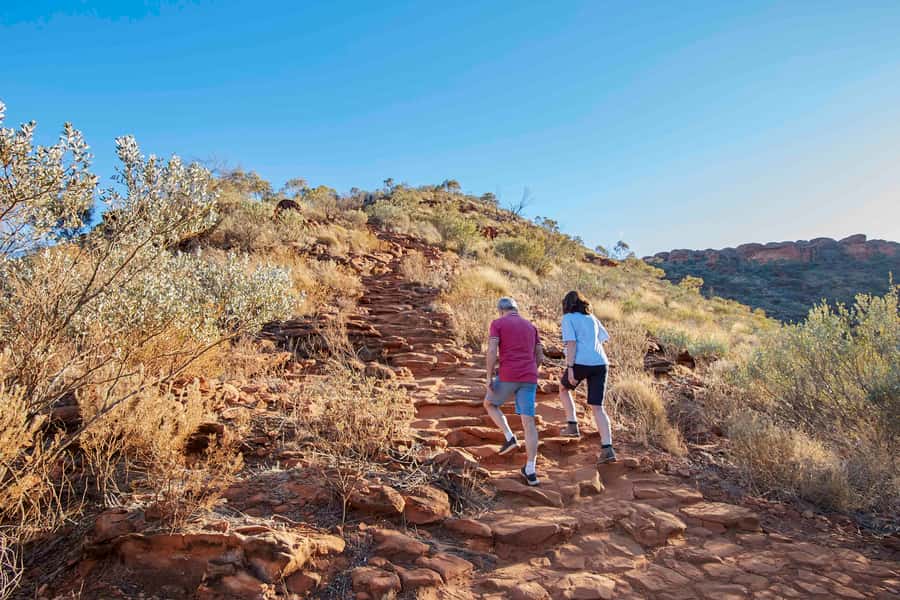 Kings Canyon: Full-Day Tour from Ayers Rock Resort - The return drive and what the price covers
