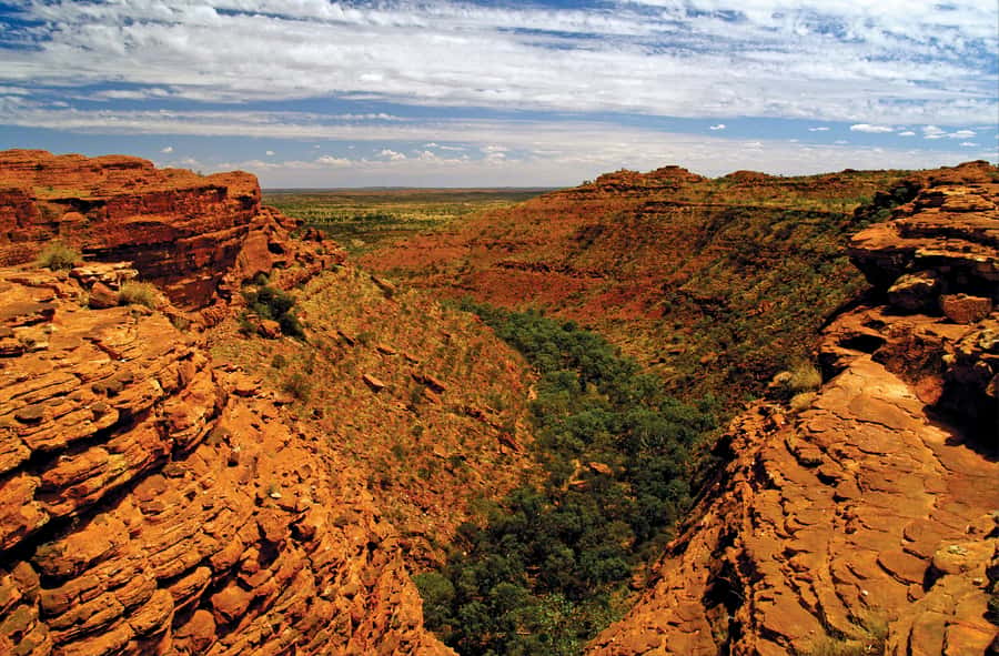 Kings Canyon: Full-Day Tour from Ayers Rock Resort - The 4:00 AM pickup and the ride to Kings Creek Station
