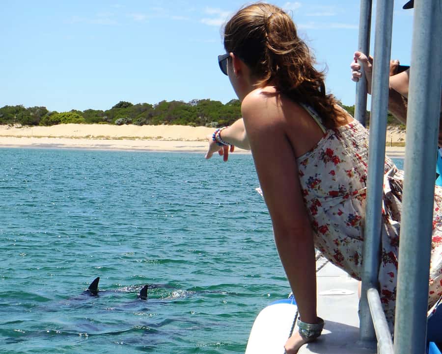 Koombana Bay: Dolphin Eco Cruise - Who will enjoy this cruise most