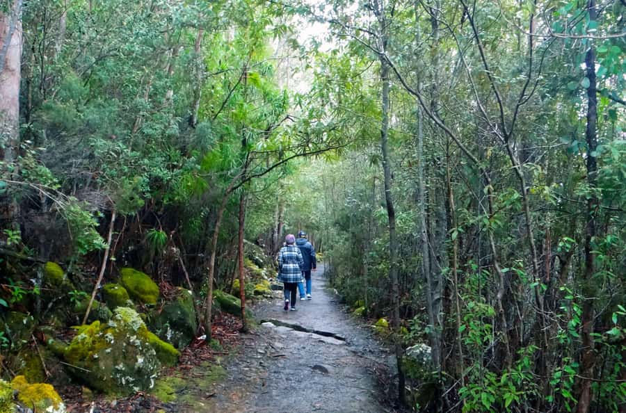 Kunanyi & Mt Wellington Explorer Bus: One-Way Bus Pass - FAQ