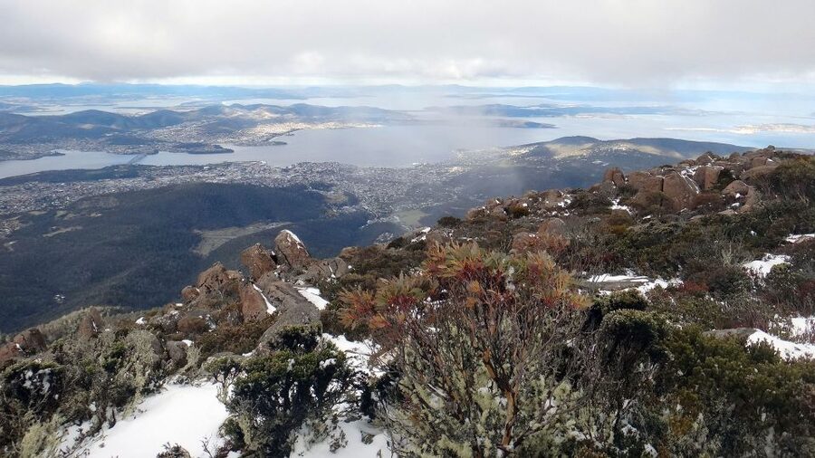 Kunanyi & Mt Wellington Explorer Bus: One-Way Bus Pass - Bringing a mountain bike to Wellington Park