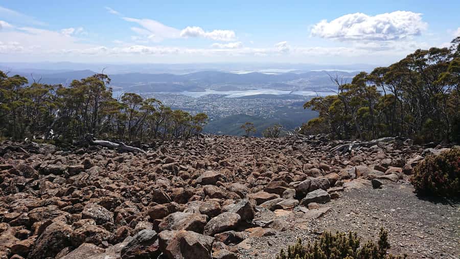 Kunanyi & Mt Wellington Explorer Bus: One-Way Bus Pass - What the $24 price really buys you