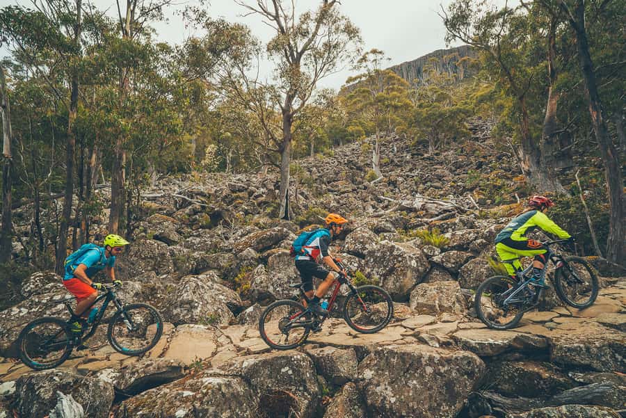 Kunanyi & Mt Wellington Explorer Bus: One-Way Bus Pass - Who will enjoy this one-way format