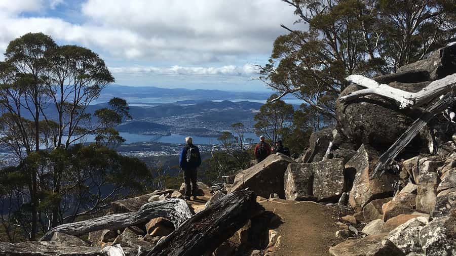 Kunanyi & Mt Wellington Explorer Bus: One-Way Bus Pass - The 1,270-meter summit and its changing weather