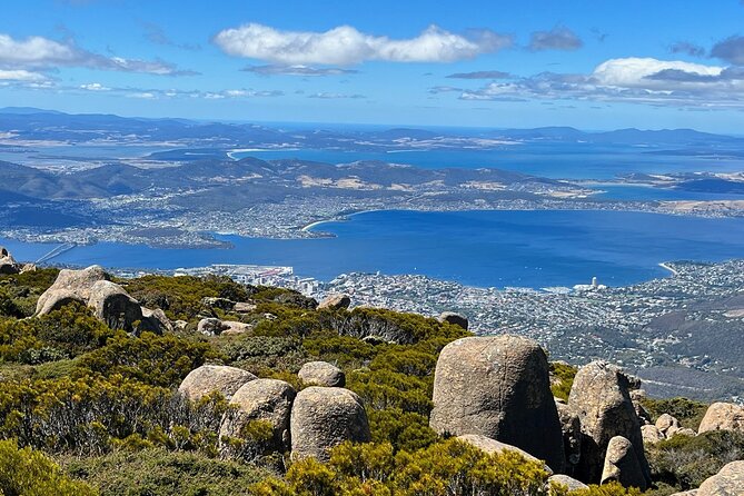 kunanyi/Mt Wellington Explorer Bus- Return Tour (2.5 hours) - The Springs: picnic tables and walking tracks