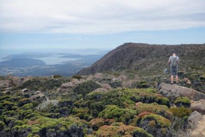 kunanyi/Mt Wellington Explorer Bus- Return Tour (2.5 hours)