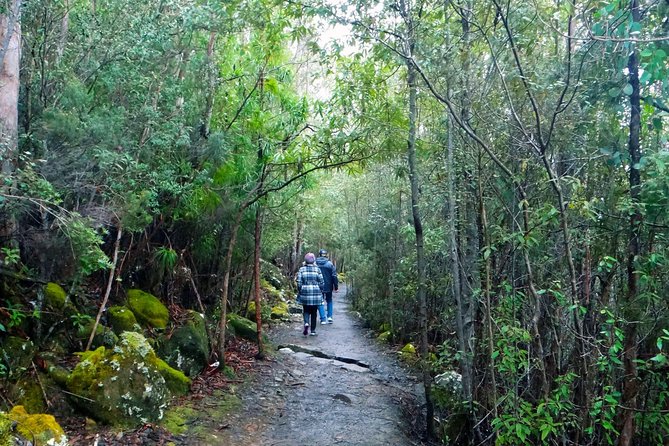 kunanyi/Mt Wellington Explorer Bus- Return Tour (2.5 hours) - The Organ Pipes Walk for a longer mountain outing