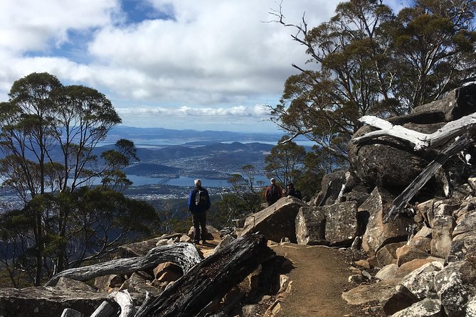 kunanyi/Mt Wellington Explorer Bus- Return Tour (2.5 hours) - Reaching the 1,270-metre summit