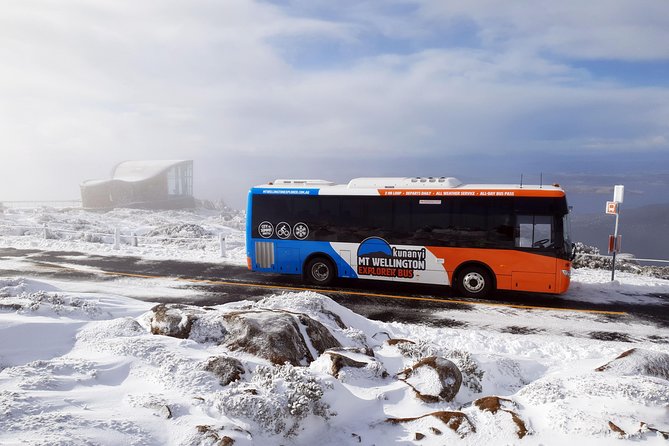 kunanyi/Mt Wellington Explorer Bus- Return Tour (2.5 hours) - Is $35.86 good value?