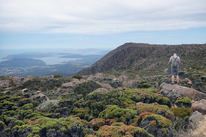 kunanyi/Mt Wellington Explorer Bus- Return Tour (2.5 hours) - Leaving Brooke Street Pier in central Hobart