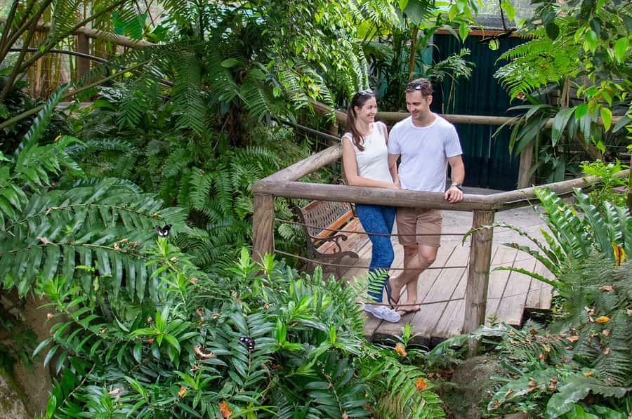 Kuranda: Australian Butterfly Sanctuary - Getting to 8 Rob Veivers Drive