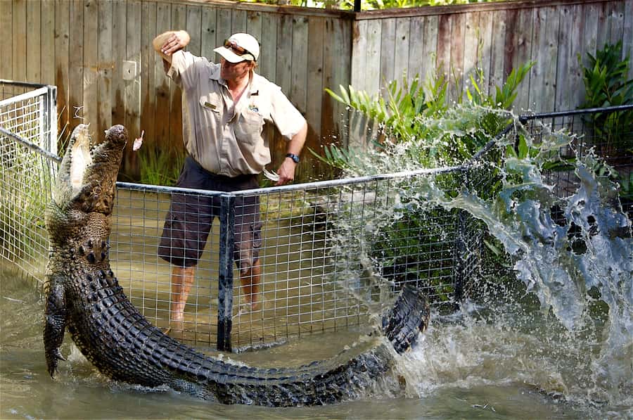 Kuranda & Hartley's Crocodile Adventures - Key points at a glance