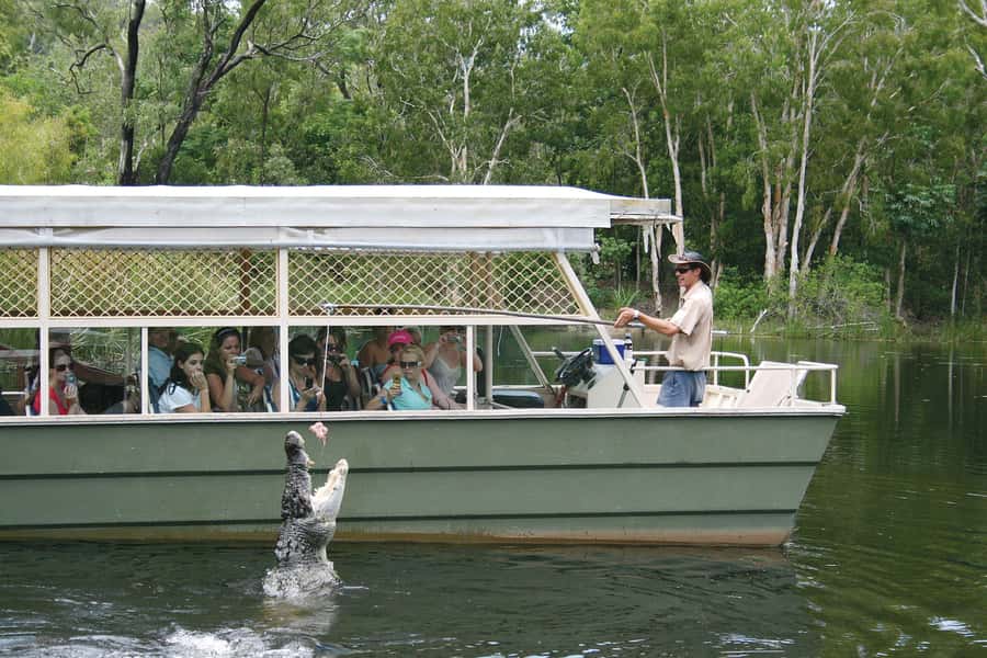 Kuranda & Hartley's Crocodile Adventures - Kuranda Scenic Rail through tunnels and gorges