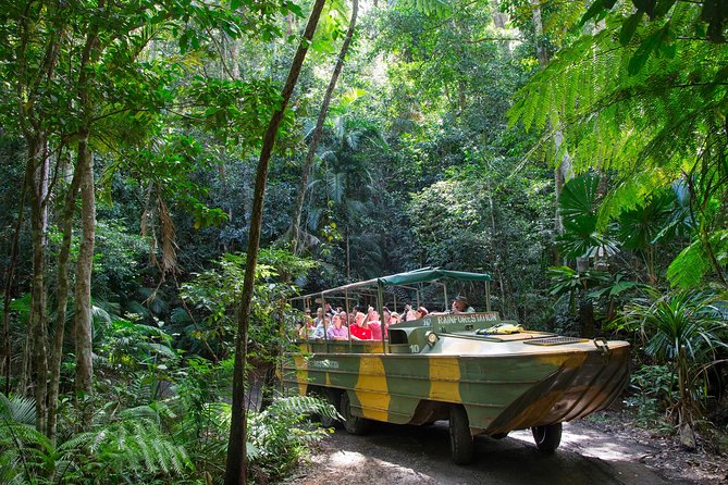 Kuranda Highlights including Rainforestation Aboriginal Culture and Wildlife R1B - Key points to know before you book