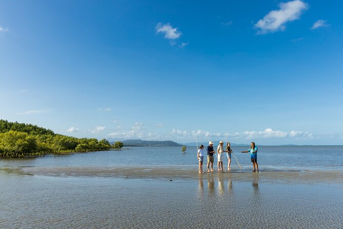 Kuranda Highlights including Rainforestation Aboriginal Culture and Wildlife R1B - Koalas, kangaroos, wallabies, and cassowaries