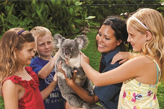 Kuranda Koala Gardens General Entry Ticket - A small history display adds local context