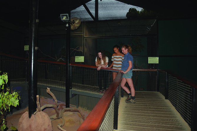 Kuranda Koala Gardens General Entry Ticket - How long should you allow?