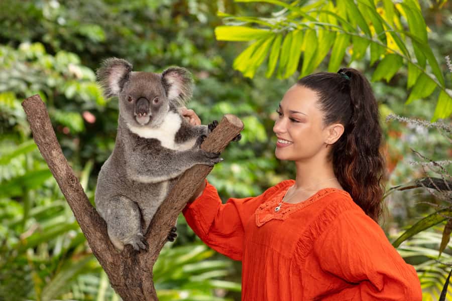 Kuranda Koala Gardens Park Entry - Seeing wallabies, wombats and quokkas