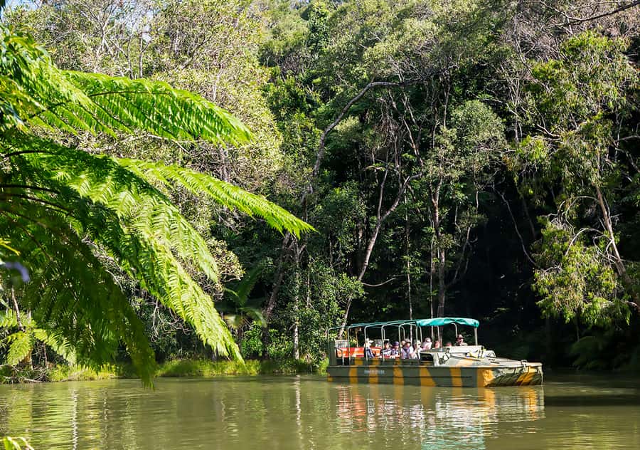 Kuranda Pamagirri Aboriginal Premium Full-Day Tour - Is $130 good value for nine hours?