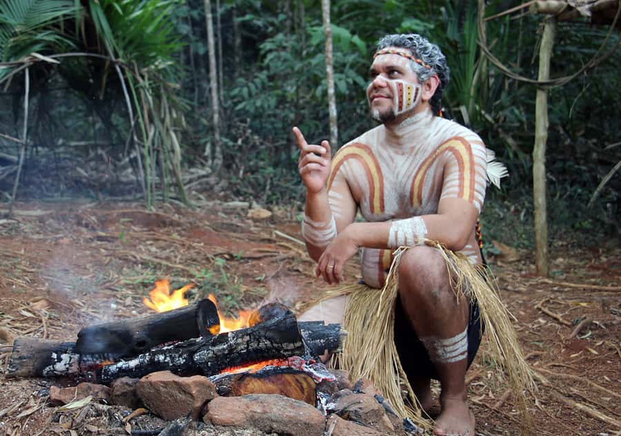 Kuranda Pamagirri Aboriginal Premium Full-Day Tour - The Rainforest Walkabout adds everyday knowledge