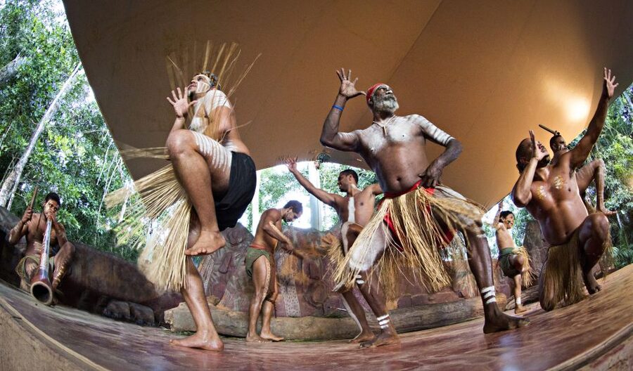 Kuranda Pamagirri Aboriginal Premium Full-Day Tour - Make your own canvas in the Aboriginal art workshop