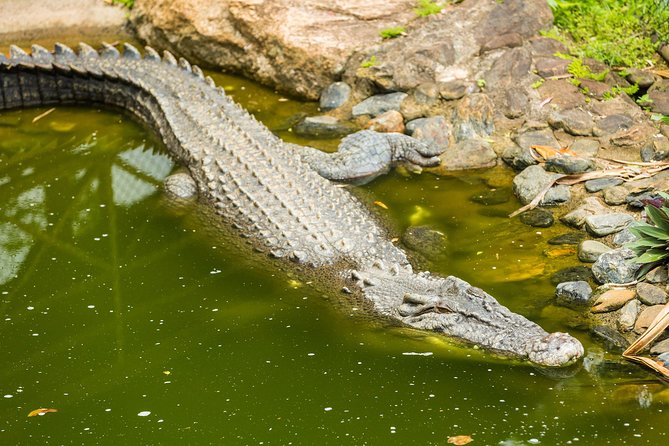Kuranda Scenic Railway Day Trip from Cairns - How good is the value at $150.71?