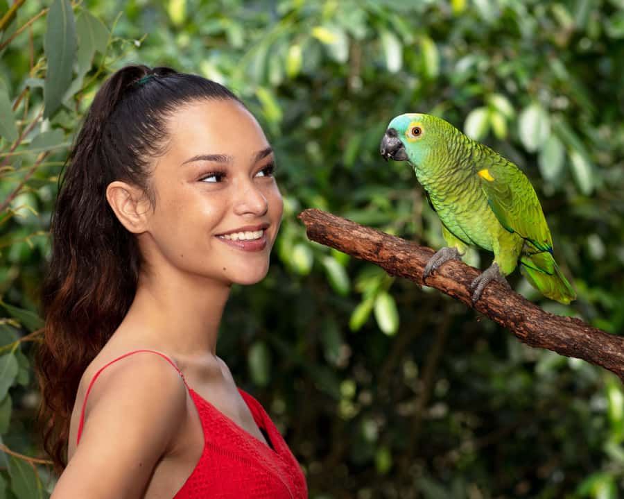 Kuranda Wildlife Experience: Koalas, Birds & Butterflies - Starting at Kuranda Koala Gardens