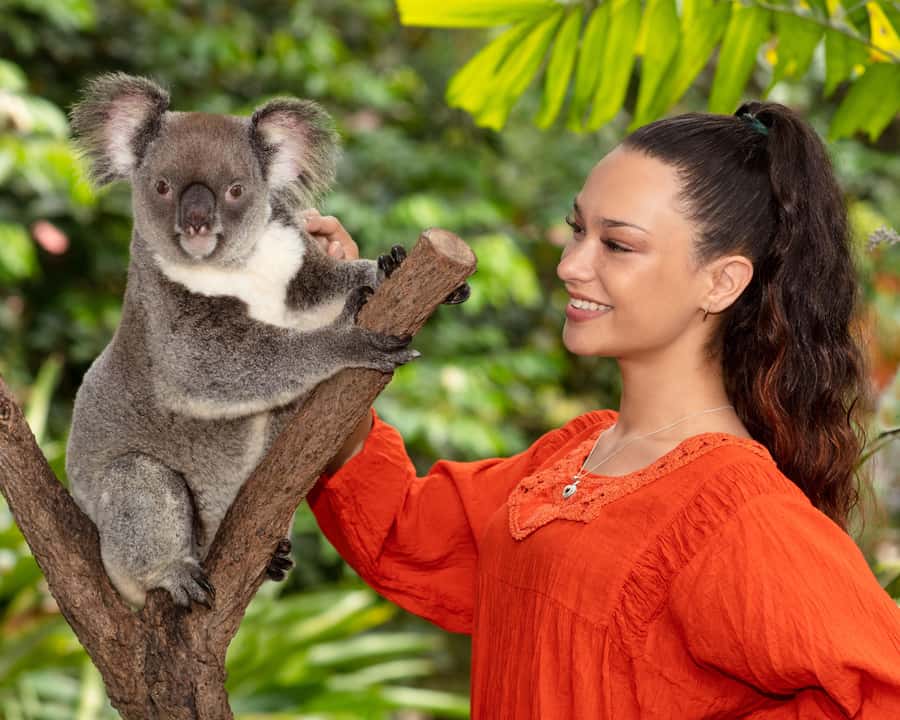Kuranda Wildlife Experience: Koalas, Birds & Butterflies - Walking beneath 1,500 butterflies