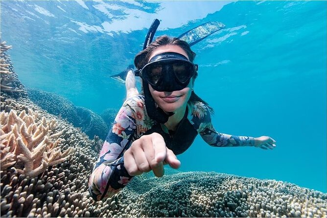 Lady Musgrave Day Trip from Bundaberg Including Snorkeling - Seeing the reef through glass