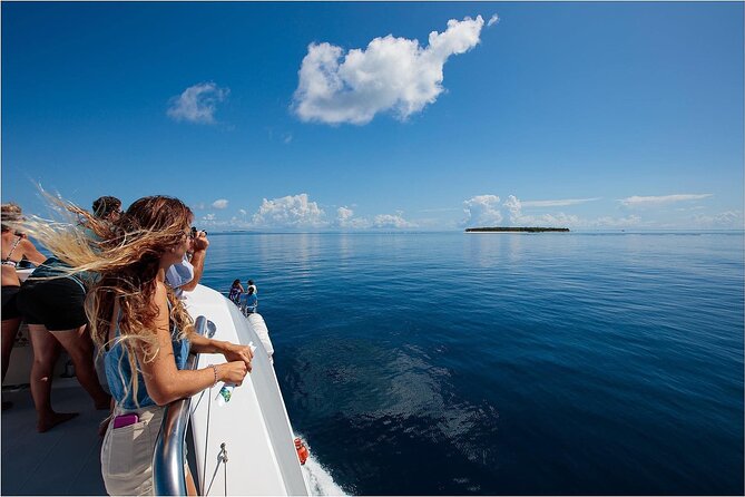 Lady Musgrave Day Trip from Bundaberg Including Snorkeling - Lunch, afternoon tea, and what you need to buy