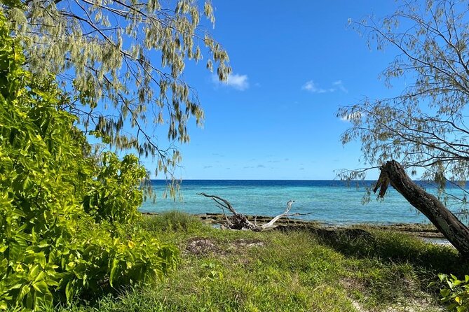 Lady Musgrave Day Trip from Bundaberg Including Snorkeling - Optional scuba sessions at extra cost