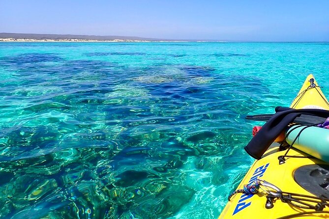 Lagoon Explorer - Ningaloo Reef Full-Day Kayaking and Snorkeling Adventure - What the small group changes