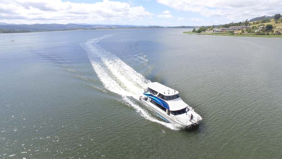 Launceston: 2.5-Hour Afternoon Discovery Cruise - Why this Launceston cruise works so well