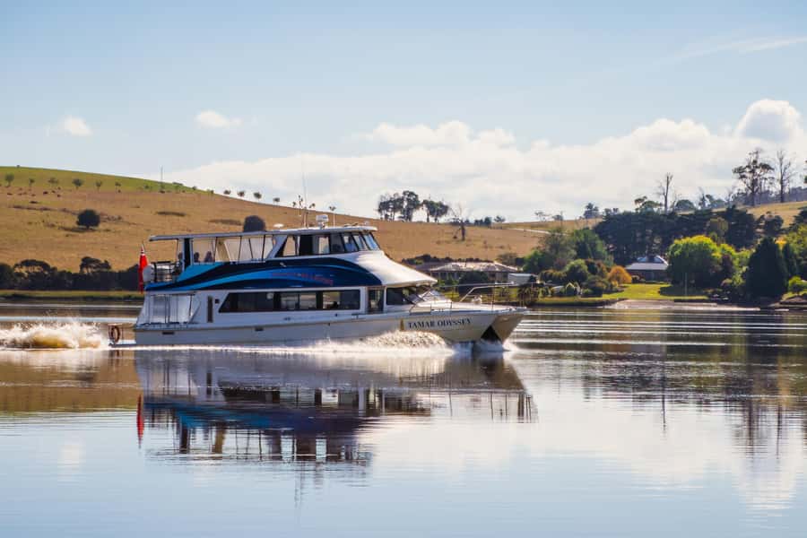 Launceston: 4-Hour Batman Bridge Luncheon Cruise - Key points to know before you book